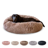 CALMING DOG BED (MUSHROOM) - Peppy Buddies