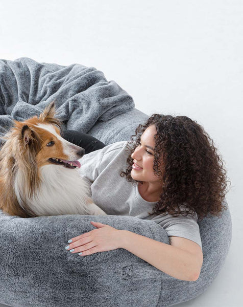 Snuggle Python snuggle-pre-sale-expected-to-be-shipped-in-early-to-mid-october-847465 ...